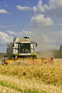 组合收割器燕麦日落金子农民力量运输农村农业玉米谷物图片