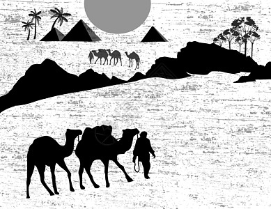 贝都因骆驼大篷车宗教风暴假期旅行法老探险家艺术金字塔插图动物图片
