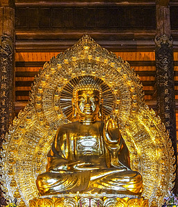 越南塔 神庙中的巨金佛像图片