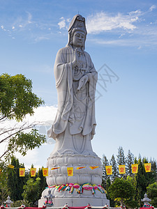 千永雕像佛教徒菩萨女性冥想寺庙正方形怜悯上帝女神宗教图片