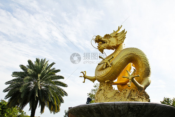 在泰国普吉的中国金龙雕像祷告建筑学休息力量雕塑金子寺庙旅行装饰品上帝图片