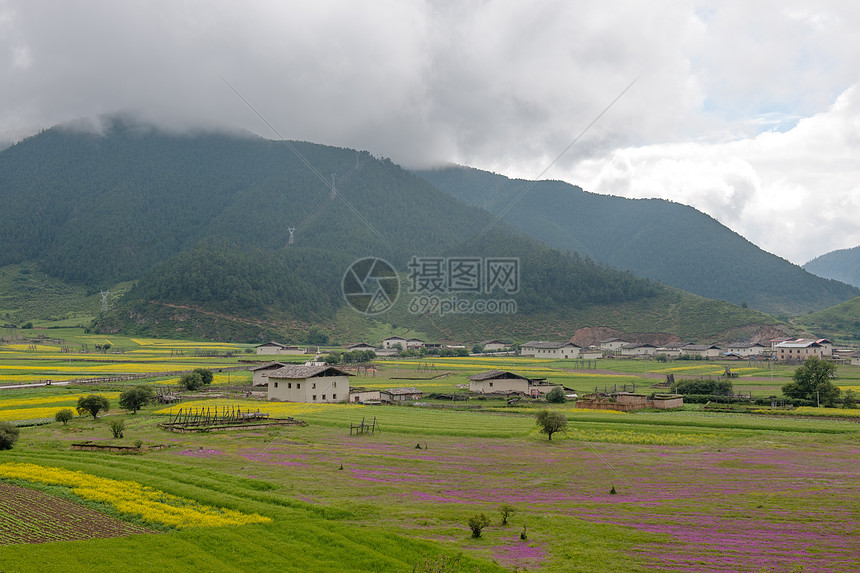 村景观农村高原风景高地季节爬坡草地房子植物群荒野图片