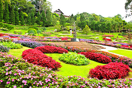花园 位于泰国Doi Tung灌木旅游凹陷雕像花语绿化踪迹草地树叶园林图片