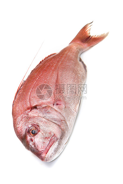 白上孤立的红鱼饮食鲻鱼营养市场鲷鱼工作室膳食食物红色皇家图片