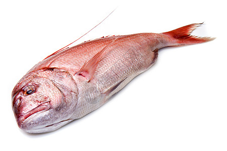 白上孤立的红鱼鲻鱼市场鲷鱼营养白色工作室饮食食物皇家膳食图片