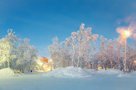 冬季风景城市花园假期天空季节童话天气房子场地国家降雪蓝色图片