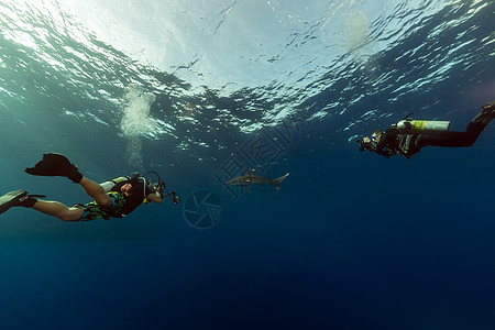 白鲨和深海潜水员在埃菲因斯通红海阳光长手液体鲨鱼蓝色摄影师白鳍鲨海洋热带潜水图片