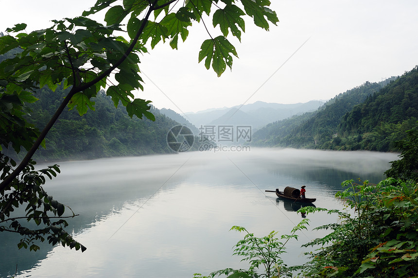 河流景观植物渔夫森林薄雾流动风景天空场景叶子绿色图片