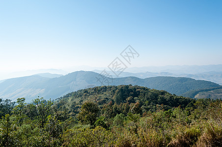 山蓝色森林爬坡山脉天空风景绿色树木土地衬套图片