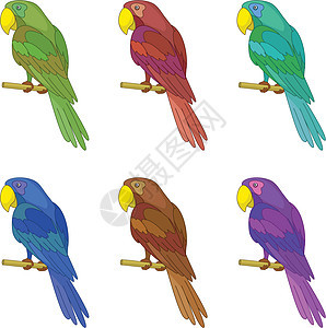 鹦鹉在柱子上 设定尾巴生物动物园蓝色橙子丛林鸟舍金刚鹦鹉艺术紫色图片