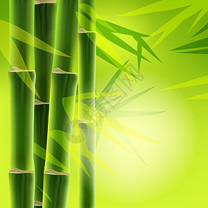 带复制空间的竹布背景风水生长园艺生活环境美食竹子丛林温泉食物图片