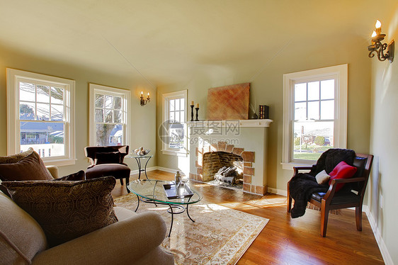 漂亮的客厅 有旧壁炉和自然音调建筑师房地产沙发项目家庭小地毯财产摄影照片窗户图片
