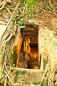 树根根吸收废墟 泰国的Temple佛教徒纪念碑旅行寺庙宗教杂草绘画雕塑文化信仰图片