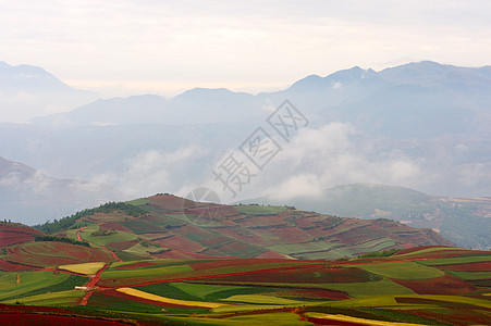 实地景观天堂耕作布雷牧歌草地农场风景山坡地形地球图片