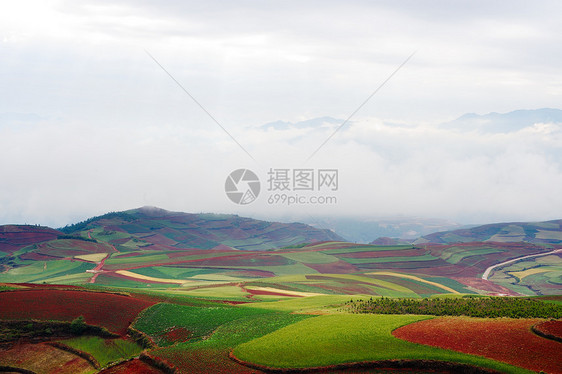 外地地貌景观植物耕作农村小麦山坡草地天堂风景地形旅行图片