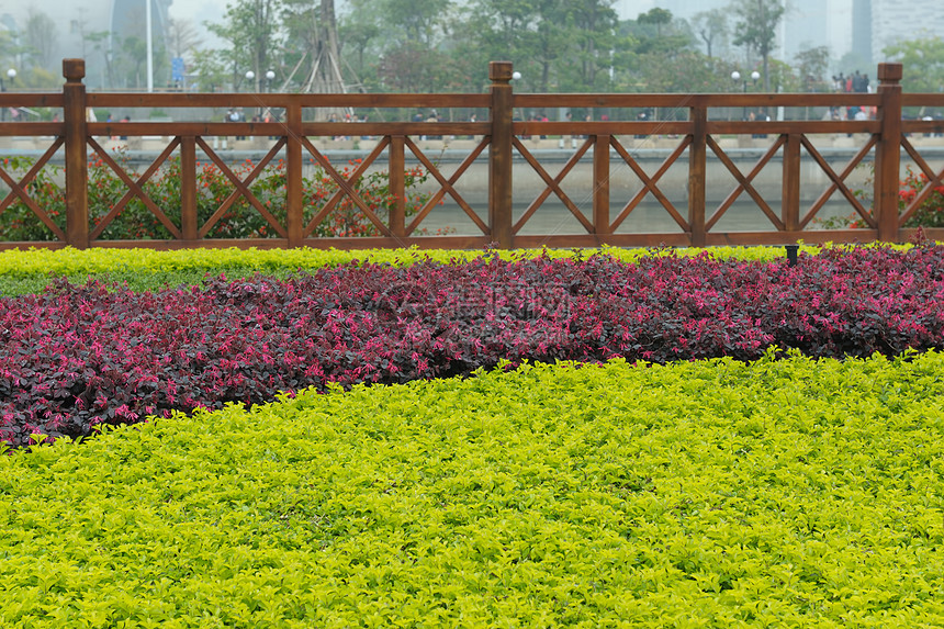 花园园花园击剑植物曲线植物群圆圈栅栏护栏公园园艺图片