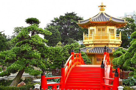 南里安花园的绝对完美之馆 洪金途径佛教徒松树池塘美化公园建筑寺庙园林宝塔图片