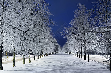 温冬巷寒意车道冬令远景胡同白色雾凇大雪小路寒冷图片