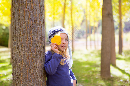 秋天的童女儿童 在阴花林中 黄色落叶手握着女性树干蓝色树叶孩子们季节孩子树木女孩金发图片