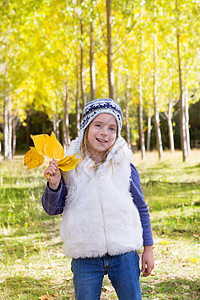 秋天的童女儿童 在阴花林中 黄色落叶手握着孩子蓝色女孩金发季节树叶花园女性树木快乐图片