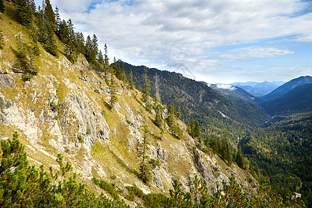巴伐利亚阿尔卑斯山中的岩石针叶荒野松树绿色云杉旅行森林风景阳光远足图片