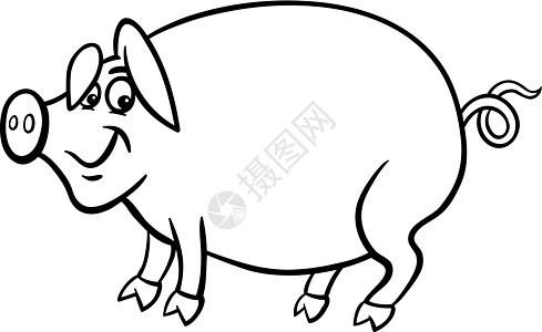 用于彩色书籍的农猪养猪漫画卡通片白色家畜微笑猪肉配种农场草图插图国家图片
