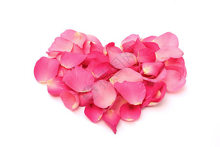 白色背景的心脏形式的玫瑰花瓣背景图片