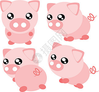 卡通猪皮插图艺术白色卡通片婴儿哺乳动物粉色农场背景图片