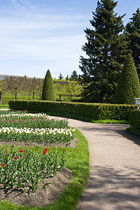 凯瑟琳宫公园 俄罗斯圣彼得堡植物皇帝艺术力量草地纪念碑风景木头公园人行道图片