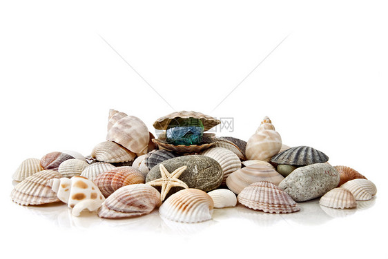 各种彩色贝壳 白色上隔离的有丝状珍珠宏观海岸线海星生活气候热带石头反射橙子曲线图片