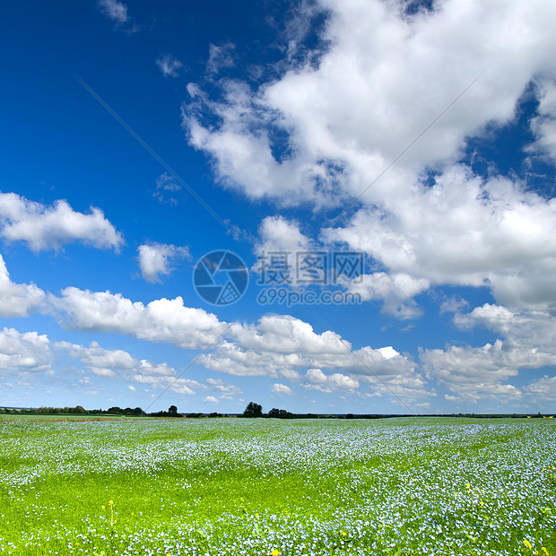 夏季风景天空蓝色云景森林土地叶子牧场太阳草地自由图片