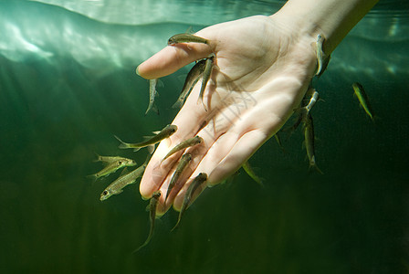 与鱼一起用手拿水为皮肤护理而饮食手指海浪指甲沙龙美甲女孩魅力保健卫生温泉图片