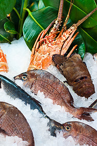 新鲜海鲜食物营养饮食乌贼章鱼海洋柠檬香葱盘子龙虾图片
