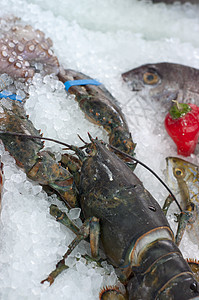 海食食物美食盐水龙虾餐厅贝类盘子菜单橙子海鲜图片