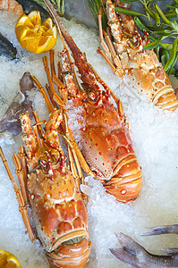 海鲜龙虾海食乌贼美食章鱼橙子盘子饮食盐水菜单海鲜市场背景