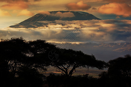 肯尼亚安博塞利的萨凡纳荒野衬套旅行野生动物草原顶峰生态季节天空太阳图片