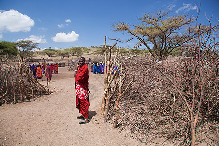 Maasai人及其在非洲坦桑尼亚的村落图片