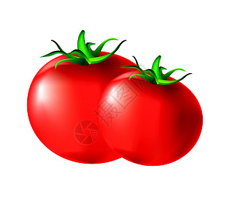 西红茄食物水果市场沙拉圆圈花园烹饪生产植物蔬菜图片