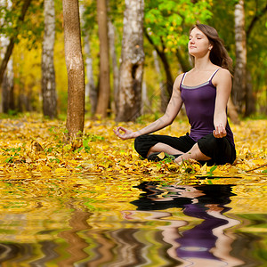 在秋季公园做瑜伽锻炼的妇女农村身体冥想平衡季节数字专注卫生花园女士图片