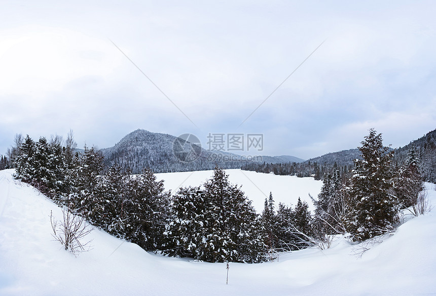 冬季冰冻的湖泊全景树木风景森林线松树天际假期枞树森林蓝色图片