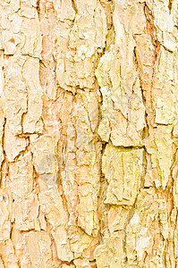 古老的木板墙控制板橡木边界粮食硬木阴影风格装饰风化木工图片