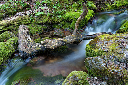 水流在岩石上植物流动森林季节苔藓树木山脉公园远足石头图片