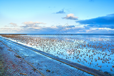 北海低潮蓝色沼泽反射海岸天空地平线海滩风景图片