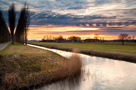 荷兰农田的日落图片