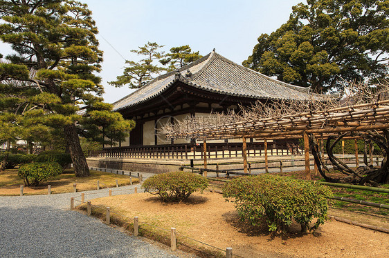 日本冬冬拜多林寺世界遗产大厅佛教徒宗教旅游观光旅行公园建筑地标图片