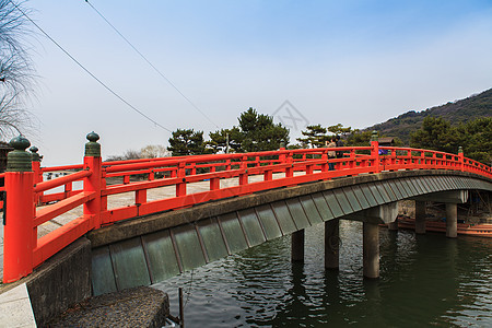 水面上的红桥分支机构叶子灌木丛国家园林小路绿化天桥风景行人图片