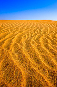 结构沙沙丘的详情图片