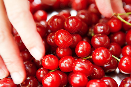 盘子里的樱桃浆果甜点生活食物团体阳光叶子花园宏观水果图片