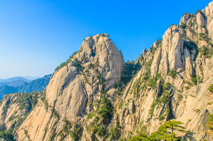 黄山和树树木斑点晴天网站风景日落石头文化红色旅游图片