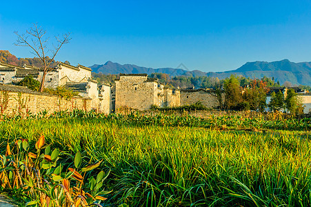 安徽宏村结构建筑池塘建筑物地点房子反射摄影村庄地方图片